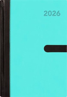 Naptár, tervező, A5, napi, DAYLINER, "Winner", kék