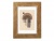 Képkeret, fa, 13x18 cm, "Goldbuch Ian", arany